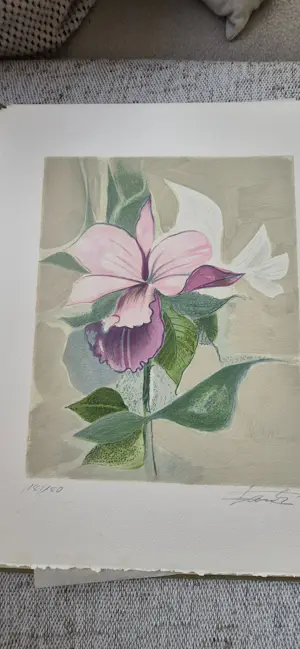 Dieter Framke - FLORA UND FAUNE kopen? Bied vanaf 700!