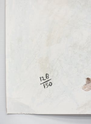 Nico Molenkamp - Vogel kopen? Bied vanaf 100!