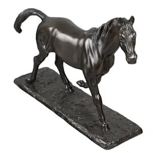 Irénée Rochard - Paard in draf kopen? Bied vanaf 1750!