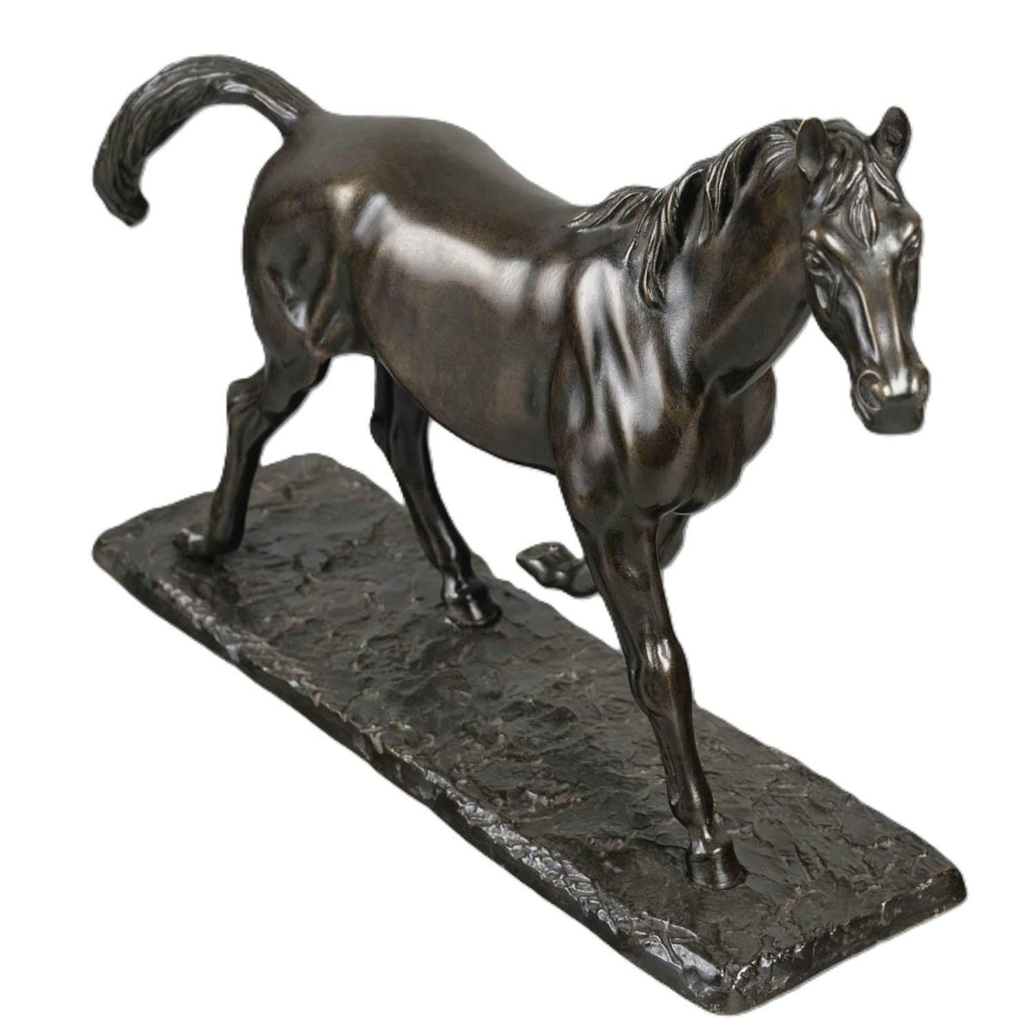 Irénée Rochard - Paard in draf kopen? Bied vanaf 2000!