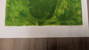 Carolina Paulussen - Geisha in groen kopen? Bied vanaf 75!