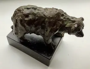 Siem Wardenaar - Volwassen beer kopen? Bied vanaf 285!