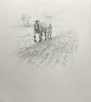 Piet Klaasse - Paarden, proefdrukken offsetlitho, 2-zijdig bedrukt, gesigneerd in druk kopen? Bied vanaf 20!