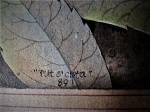 Niet of onleesbaar gesigneerd - Kleurrijk Aquarel Indonesië "Javaanse IJsvogel, Vlinders en Bloemen" gesigneerd kopen? Bied vanaf 10!