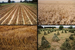 Paul Huf - C-print, Provence - Ingelijst (Groot) kopen? Bied vanaf 1!