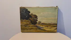 Sam Schellink - Zomerlandschap kopen? Bied vanaf 20!