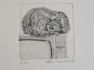 Ella van Schaik - handgesigneerde ets | 'Slapende poes op TV' kopen? Bied vanaf 40!