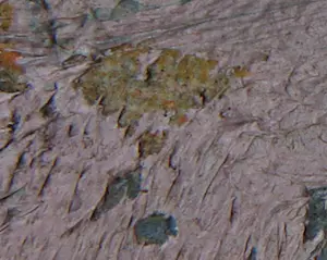 Aart Roos - Olieverf op doek, Zelfportret - Ingelijst kopen? Bied vanaf 100!