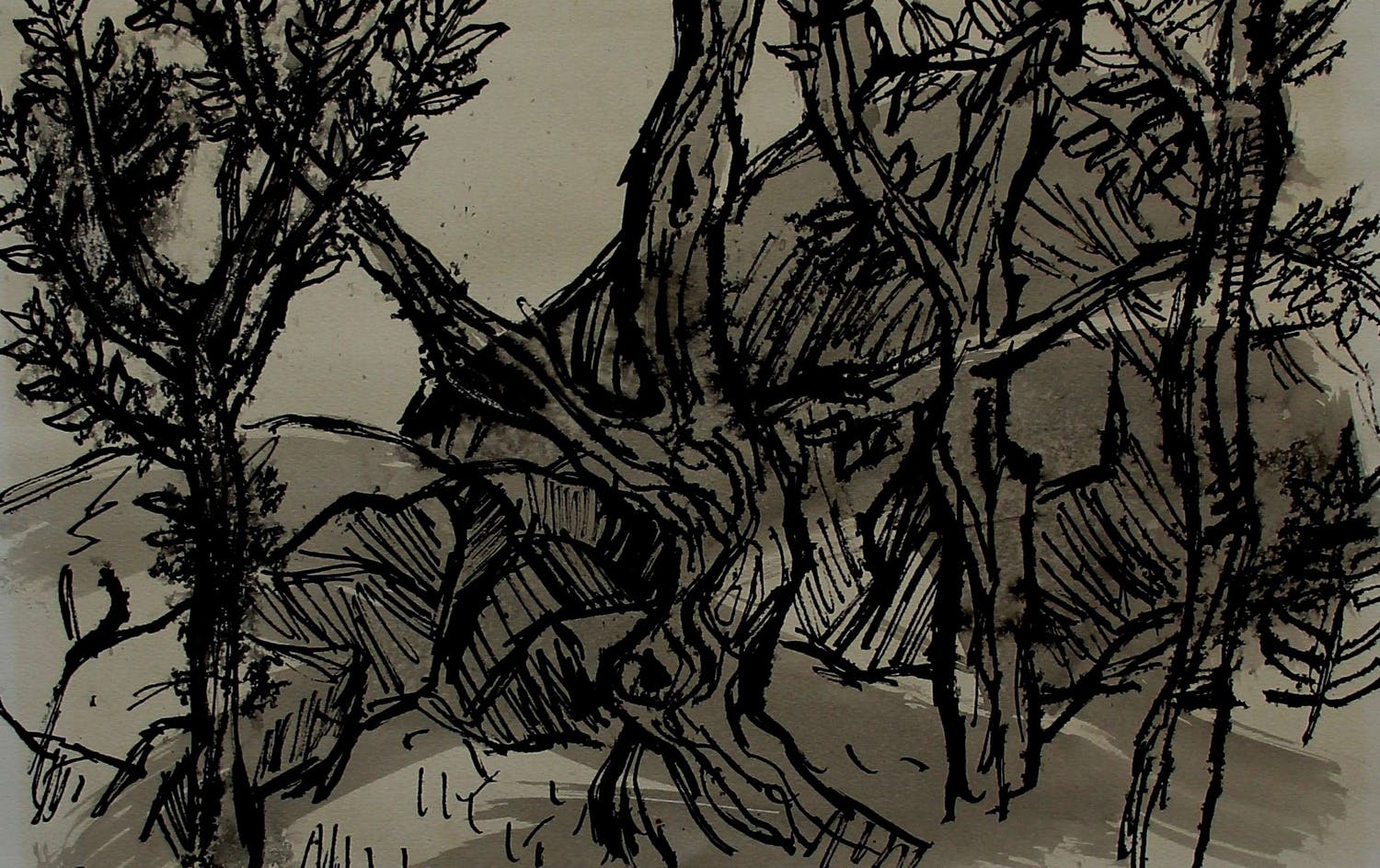 Randi Doorman (1924)