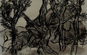 Randi Doorman - inkttekening - 1968 kopen? Bied vanaf 35!