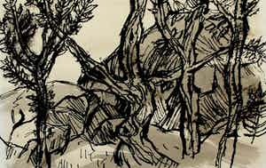 Randi Doorman - inkttekening - 1968 verkocht voor € 35!