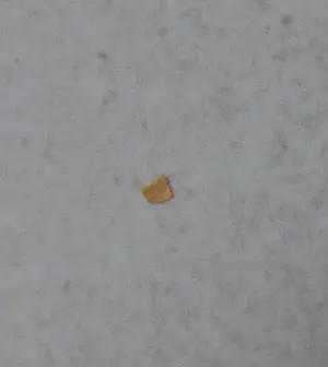 Gisella Klein - Foto, Traffic II - Ingelijst kopen? Bied vanaf 50!