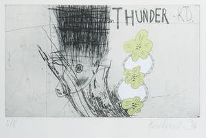 Niet of onleesbaar gesigneerd - Handgekleurde ets, Thunder RD. - Ingelijst kopen? Bied vanaf 1!