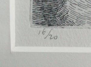 Marijke Fast - Granaatappel kopen? Bied vanaf 15!