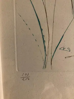 Salvador Dali - - Surrealistische naakten - Ingelijst - " Songs of King Solomon " kopen? Bied vanaf 300!