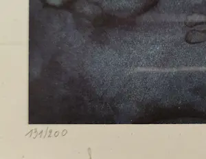 Anton Pieck - Flug nach Bethlehem kopen? Bied vanaf 25!