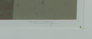 Peter Harskamp - Zeefdruk, Vrouw met witte duif en waterkom - Ingelijst kopen? Bied vanaf 100!