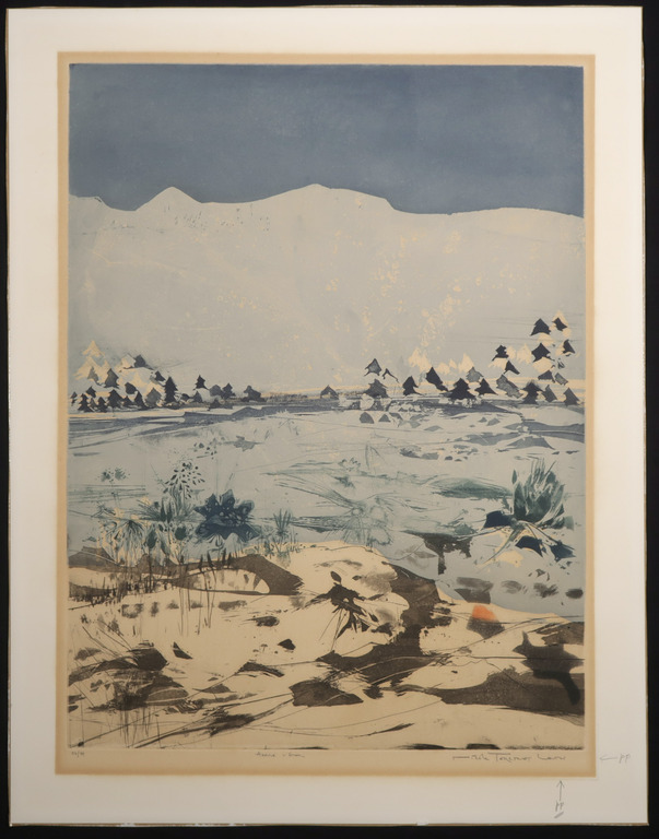 Nicole Tercinet Levin - Aquatint, Arrive L'Hiver kopen? Bied vanaf 1!