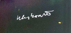 Peter Klashorst - Het meisje met de parel kopen? Bied vanaf 895!