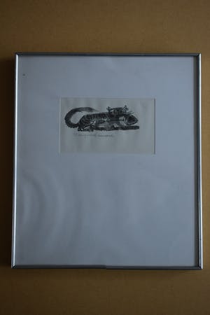 Theo Kurpershoek - litho - Kat met Vis. kopen? Bied vanaf 50!