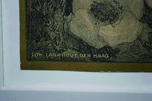 Adriaan van 't Hoff - Paradijsvogel - extra: een ingelijste litho kaketoes kaufen? Bieten Sie von 65!