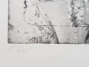 Jan Prins - Prachtige Ets - Gesigneerd in potlood kopen? Bied vanaf 15!