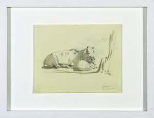 Simon Simonsen - Tekening, Bos indicus / Zeboe, ca. 1875 verkocht voor € 1!