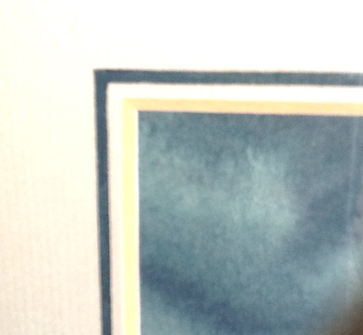 Anja Middelkoop - Geschilderd Koolmeesje,gesigneerd en ingelijst kopen? Bied vanaf 35!