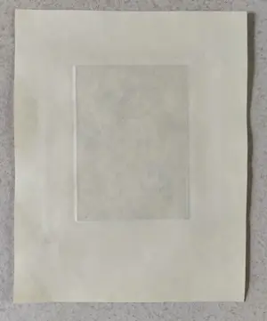 Johan Hemkes - Honingzwammen kopen? Bied vanaf 35!