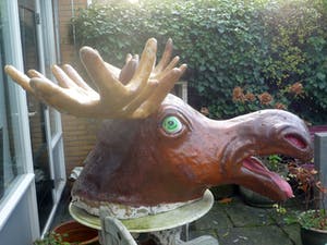 Curiosa - Grote Elandenkop kopen? Bied vanaf 99!