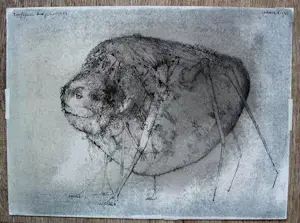 Buy Dirkje Kuik - Pentekening met waterverf: Roofspin - 1984? Bid from 149!