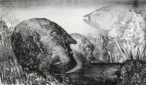 Frans Minnaert - Gesigneerde litho - 1974 - 19/100 kopen? Bied vanaf 65!