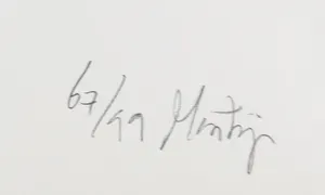 Martijn Engelbrecht - Print, Welke Nederlandse kunstenaars kent de Ypenburger? kopen? Bied vanaf 1!