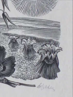 Dirk van Gelder - Zomer - Gravure kopen? Bied vanaf 1!