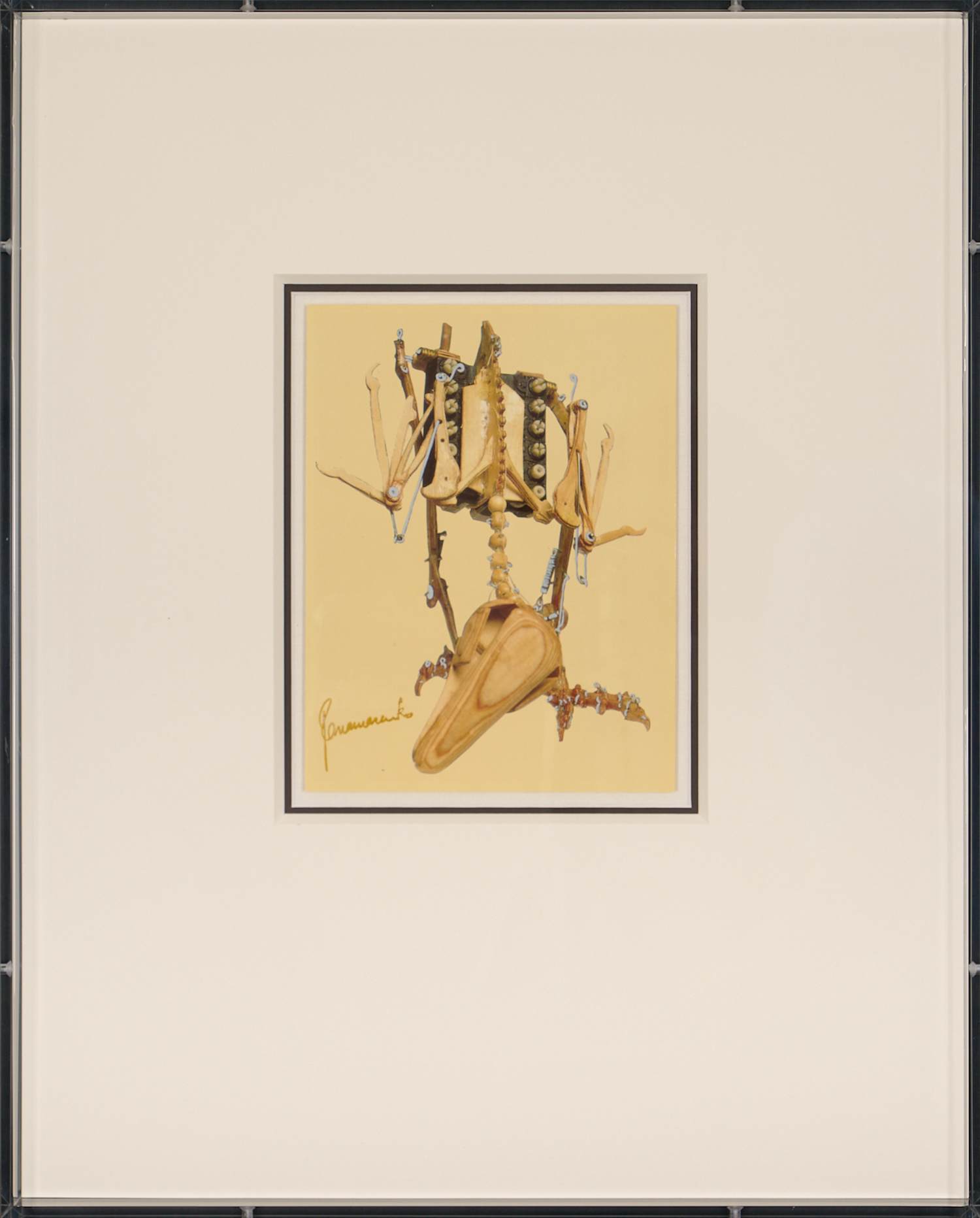 Buy Panamarenko - Gesigneerd "Archaeopterix," - Unieke Panamarenko Vogel - in plexi showcase? Bid from 690!