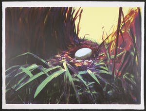 Siert Simon Dallinga - Zeefdruk, Heerenveen kopen? Bied vanaf 1!