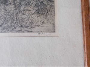 Jan Coenraad Nachenius - Boslandschap in Zuid-Afrika - 1921/1922 kopen? Bied vanaf 35!