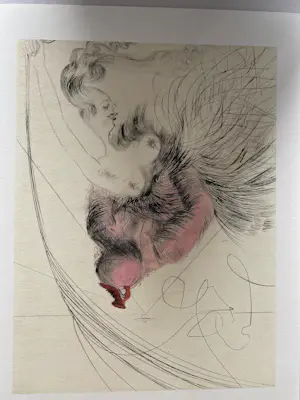 Salvador Dali - 12 stuks litho Venus aux Fourrures kopen? Bied vanaf 185!