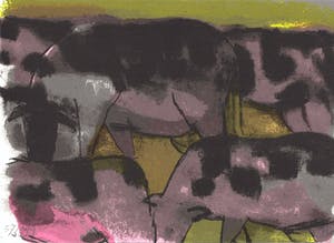 Theo Bitter - Koeien kopen? Bied vanaf 20!