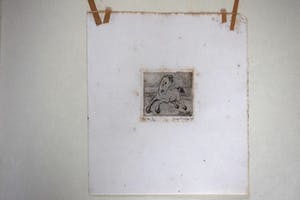 Enno Brokke - Veulen in de wei kopen? Bied vanaf 50!