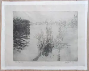 Willem den Ouden - De Waal, ets (1964, kleine oplage) kopen? Bied vanaf 195!