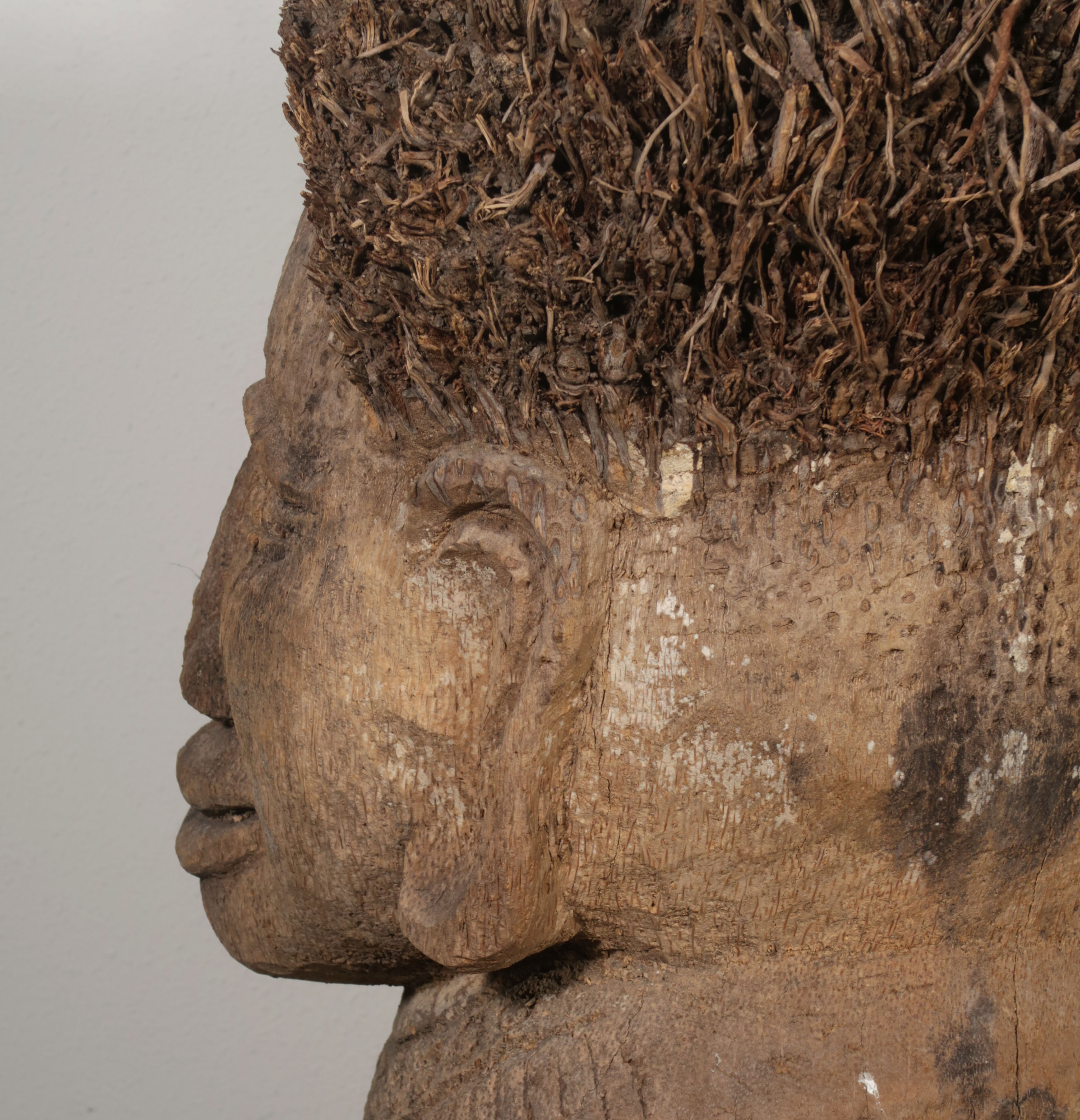 Niet of onleesbaar gesigneerd - Palmbomenhout, Kop 2 kopen? Bied vanaf 1!