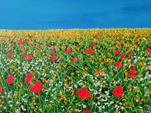 Giovanni Daurea - Floreale 320 kopen? Bied vanaf 240!