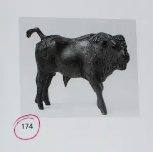 Hetty Heyster - Bronzen sculptuur: Bizon kalf - 1990 + boek (beeld staat in boek) kopen? Bied vanaf 1250!