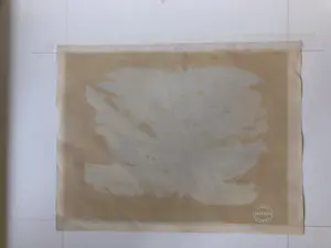 Anton Rooskens - Printemps kopen? Bied vanaf 75!