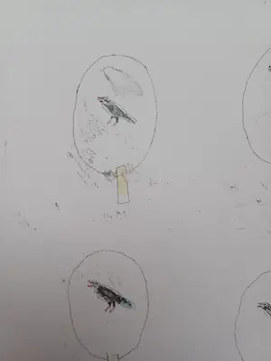 Hans Andringa - De merel - gesigneerde ets aquarel kopen? Bied vanaf 69!