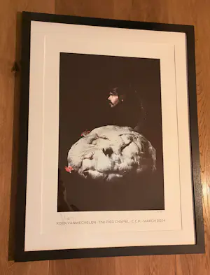 Koen Vanmechelen - Offset Koen Vanmechelen kopen? Bied vanaf 575!