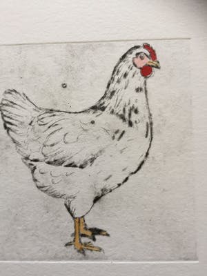 Martien Versteegen - Kippen kopen? Bied vanaf 35!