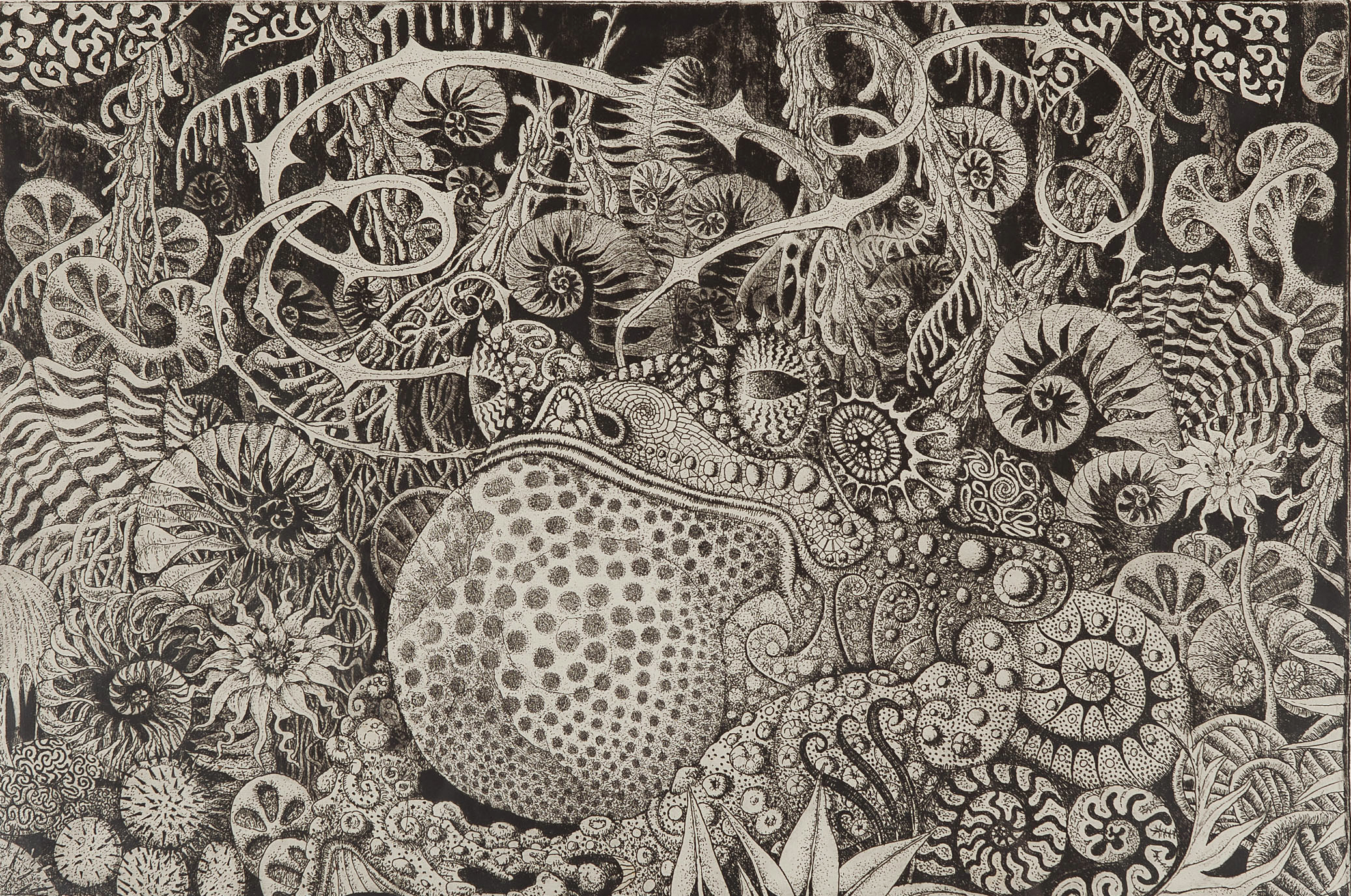 Joep Hommerson - Pad - Ets - gesigneerd r.o. - BKR Bierum - 1975 kopen? Bied vanaf 10!