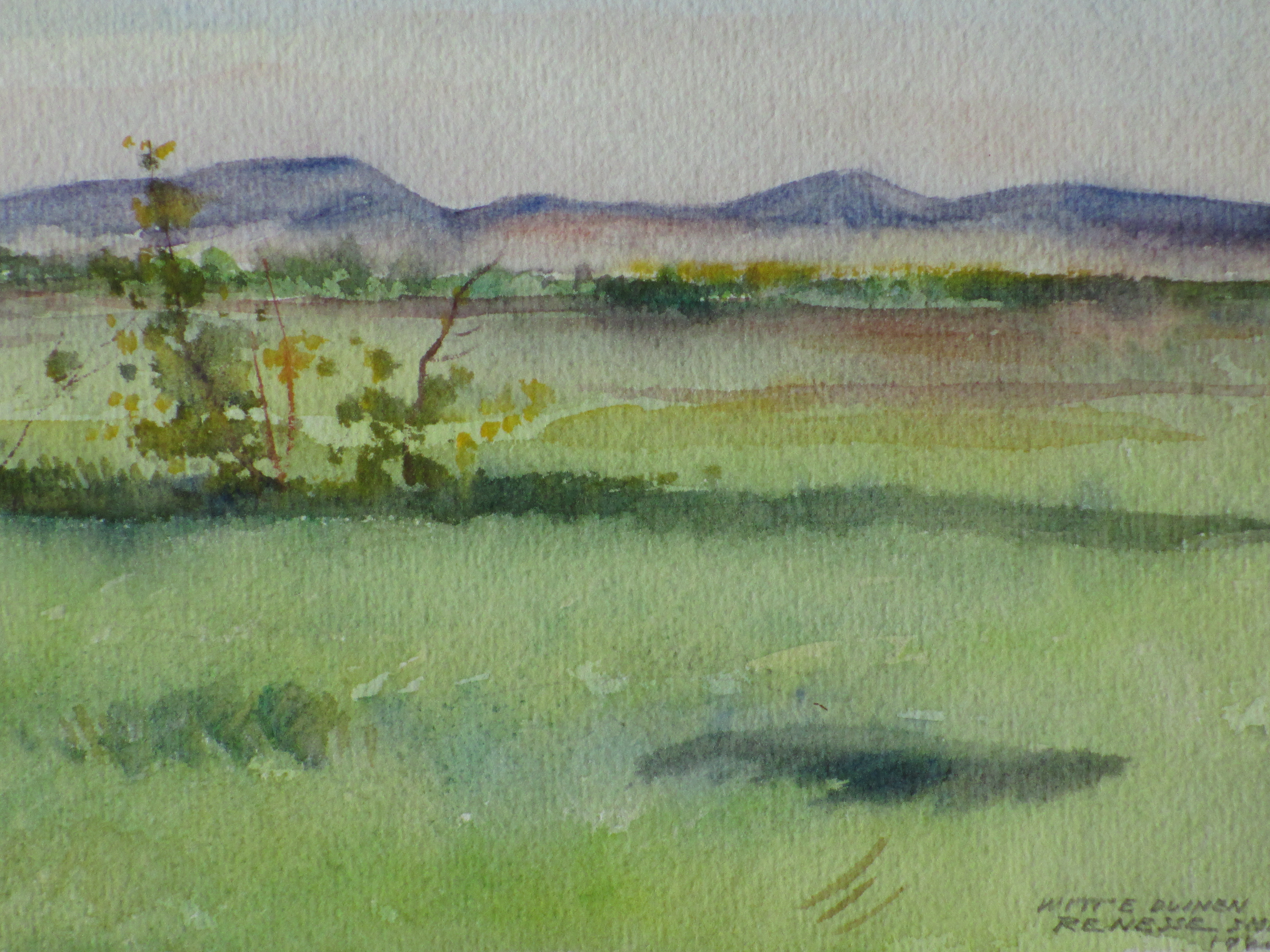 Han Krug - Witte Duinen Renesse - Aquarel 1940 kopen? Bied vanaf 20!